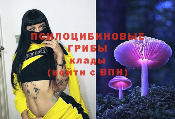 мет Аркадак