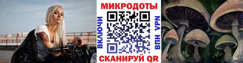 kraken ссылки  Саров  Галлюциногенные грибы Psilocybine cubensis 